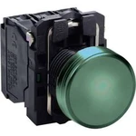 Světelný hlásič Schneider Electric XB5AVG3, 1 ks