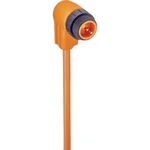 Upravený zástrčkový konektor pro senzory - aktory Lumberg Automation RSW 20-03/0,5 M 934636321 zástrčka, zahnutá, 0.50 m, 1 ks