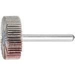 Vějířová bruska NA KŮŇ PFERD 44402156 Průměr 30 mm