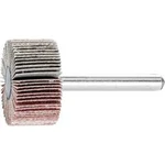 Vějířová bruska NA KŮŇ PFERD 44409186 Průměr 30 mm