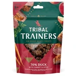 TRIBAL Trainers Snack Duck, Carrot & Apple pamlsky pro psy 80 g