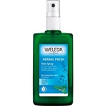 Weleda Šalvějový deodorant 100 ml