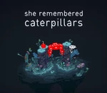 She Remembered Caterpillars EU Steam CD Key