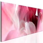 Obraz - Flowers: Pink Tulips
