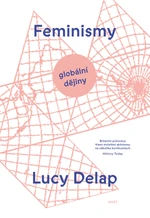 Feminismy - Lucy Delap - e-kniha