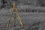 Maskovací kryt Tripod Camo Ghosthood® IRR – Concamo Green (Barva: Concamo Green)