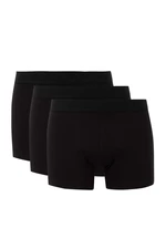 DEFACTO Regular Fit 3-pack Boxer