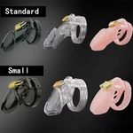 Small/Standard Male Chastity Device Cock Cage With 5 Size Rings Brass Lock Locking Number Tags Sex Toys for Men Couples Adults