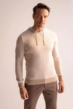 DEFACTO Regular Fit Hooded Pullover