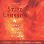 Dívka, která si hrála s ohněm - Milénium 2 - Stieg Larsson - audiokniha