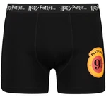 Men's boxer HARRY POTTER - Frogies