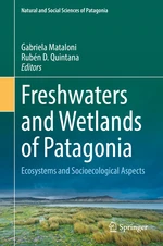 Freshwaters and Wetlands of Patagonia