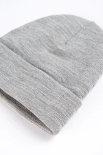 Dagi Beanie - Gray - Casual