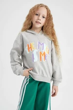 DEFACTO Relax Fit Sweatshirt
