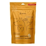 CURE POINT CBD Recovery S Pamlsky pro psy 100 g