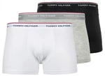 Tommy Hilfiger 3 PACK - pánské boxerky 1U87903842-004 L