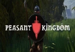 Peasant Kingdom Steam CD Key
