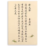 Batik Half-Ripe Xuan Paper Chinese Calligraphy Small Running Regular Script Papel Arroz Qi Baishi Art Painting Animal Letterhead