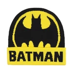 HAT WITH APPLICATIONS BATMAN