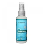 SALOOS Natur aroma airspray Eukalyptus 50 ml