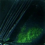 Olejová barva Pébéo XL 37ml – 17 sap green