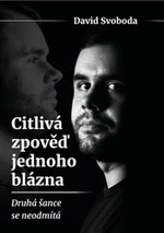 Citlivá zpověď jednoho blázna - David Svoboda