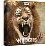 BOOM Library Wildcats Muestra y biblioteca de sonidos (Producto digital)