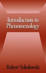 Introduction to Phenomenology