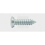 Šrouby do nástěnných štítků SWG 1030551925, N/A, 19 mm, ocel, 100 ks