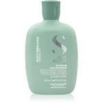 Alfaparf Milano Semi Di Lino Scalp Rebalance jemný čisticí šampon proti lupům 250 ml