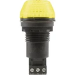 Signální osvětlení LED Auer Signalgeräte IBS, žlutá, trvalé světlo, blikající světlo, 230 V/AC