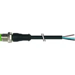 Neupravený zástrčkový konektor pro senzory - aktory Murr Elektronik 7000-12041-7320200 2.00 m, 1 ks