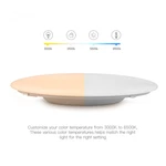 OFFDARKS AC220-240V 36W 420mm Ceiling Lamp Bedroom Kitchen LED Ceiling Light RGB Dimming APP WIFI Voice Control