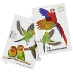 Gardigo Stickers Native Birds nálepka do okna s obrazom vtáka odstrašenie  1 ks