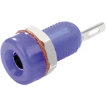TRU COMPONENTS TC-R1-16A Blue zdierka pre banánik zásuvka, vstavateľná vertikálna Ø pin: 4 mm modrá 1 ks