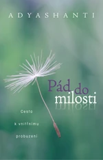 Pád do milosti - Adyashanti - e-kniha