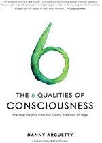 The 6 Qualities of Consciousness