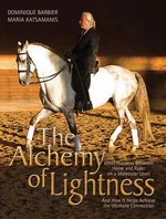 The Alchemy of Lightness