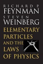 Elementary Particles and the Laws of Physics