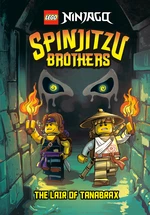 Spinjitzu Brothers #2
