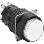 Světelné tlačítko Schneider Electric XB6EAW1B1P, 250 V, 3 A, černá, bílá, 5 ks