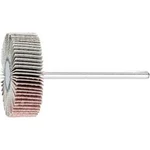 Vějířová bruska NA KŮŇ PFERD 44402243 Průměr 30 mm