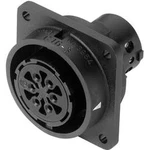 Přístrojová zásuvka C16-3 Amphenol C016 10G014 000 2, kulatý faston, Provedení konektoru: zásuvka, vestavná 4x 6 A, 11x 12 A, IP65, polyamid 6.6, pólů Přístrojová zásuvka C16-3 Amphenol C016 10G014 000 2, kulatý faston, Provedení konektoru: zásuvka, vestavná 4x 6 A, 11x 12 A, IP65, polyamid 6.6, pólů