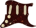 Fender Pre-Wired Strat SSS TX SPC Repuesto para guitarra