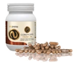 NUPREME Cordyceps extrakt 100 kapsúl