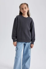 DEFACTO Relax Fit Crew Neck Sweatshirt