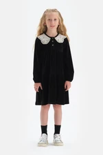 Dagi Black Collar Long Sleeve Velvet Dress With Border Detail