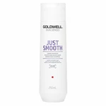 Goldwell Dualsenses Just Smooth Taming Shampoo wygładzający szampon do niesfornych włosów 250 ml
