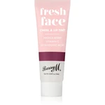 Barry M Fresh Face multifunkčné líčidlo na pery a tvár odtieň Blackberry 10 ml