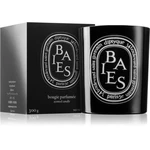 Diptyque Colored Baies vonná sviečka 300 g